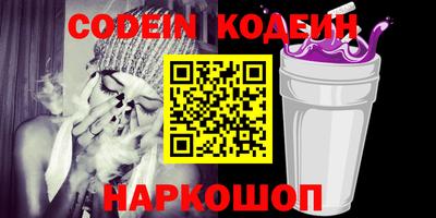 крисы Можга