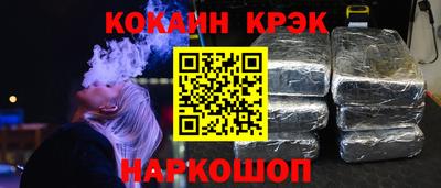 крисы Можга