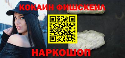 крисы Можга
