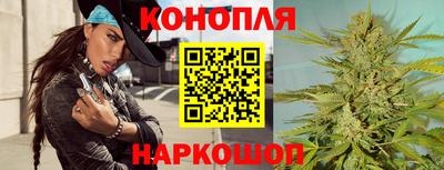 крисы Можга