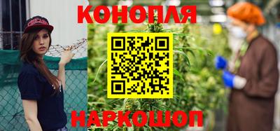 крисы Можга