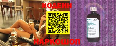 крисы Можга